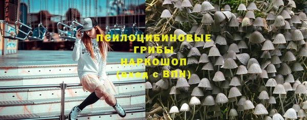 spice Алзамай