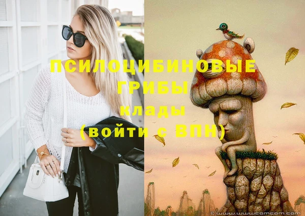 spice Алзамай